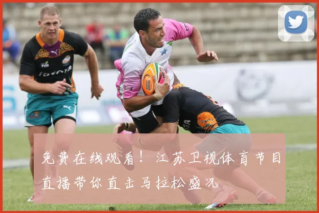 免费在线观看！江苏卫视体育节目直播带你直击马拉松盛况