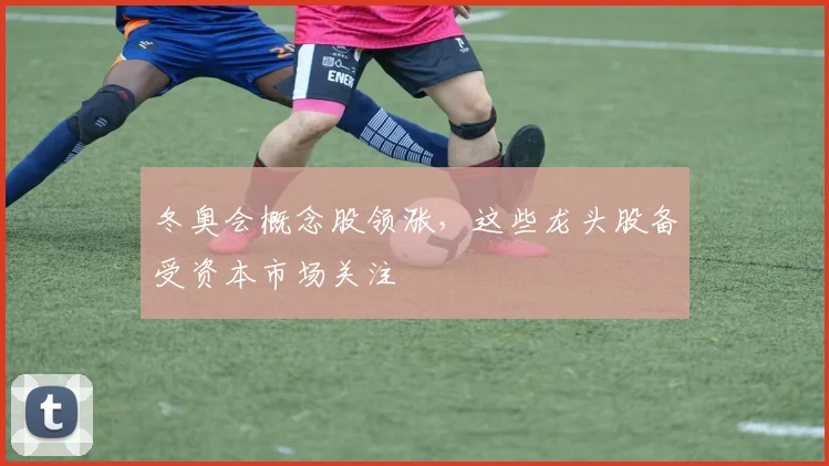 冬奥会概念股领涨，这些龙头股备受资本市场关注