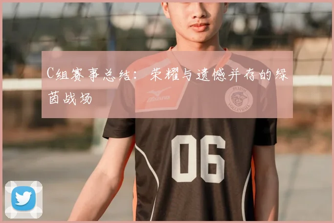 C组赛事总结:荣耀与遗憾并存的绿茵战场