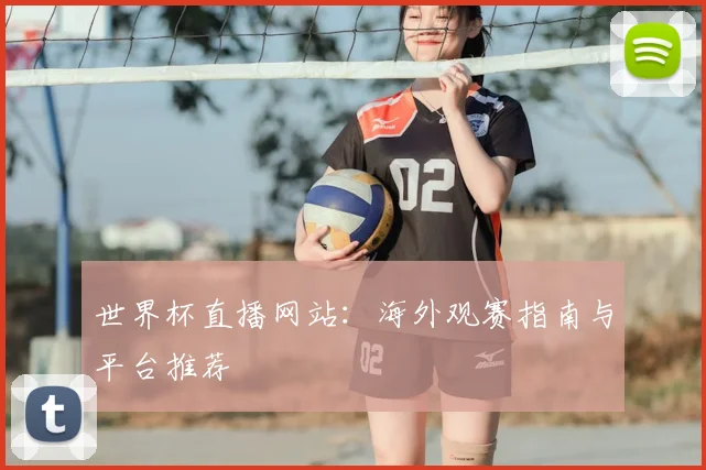 世界杯直播网站：海外观赛指南与平台推荐