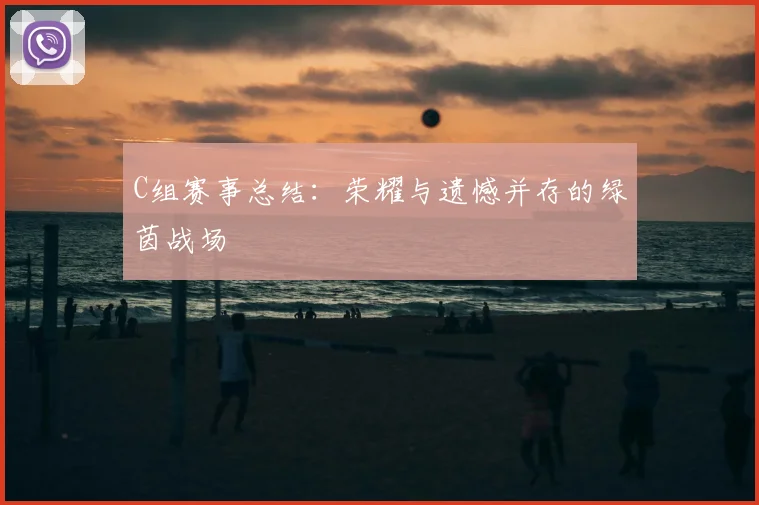 C组赛事总结：荣耀与遗憾并存的绿茵战场