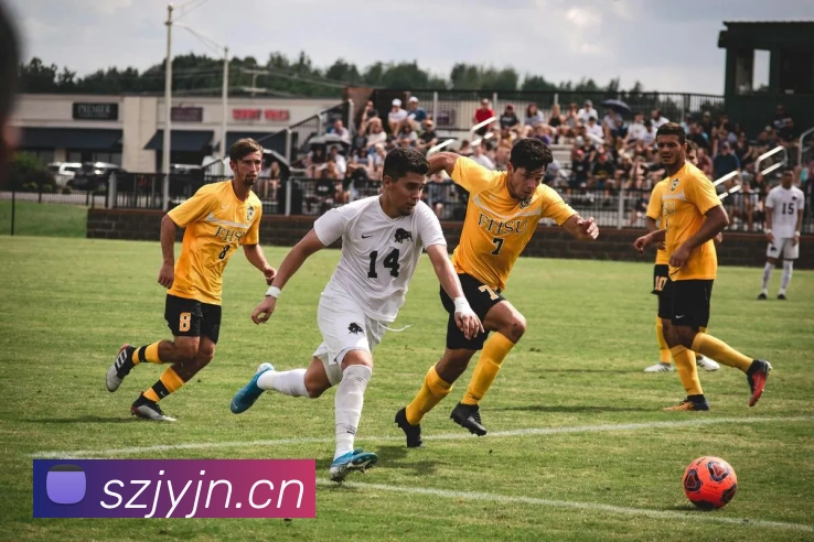 AI Risk Control